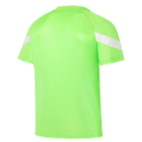 Camisa Palmeiras 23/24 Treino